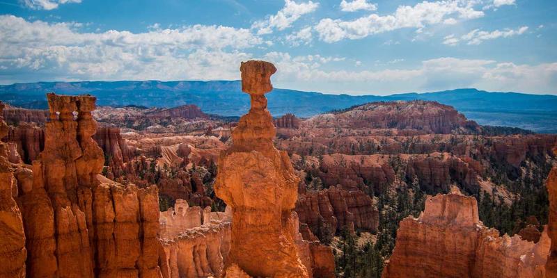 Canada62：国际学生通往加拿大移民与理想生活的桥梁