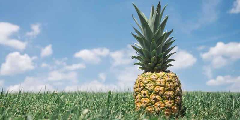 从永久居民到加拿大公民：居住时间计算、语言考试与面试全流程指南