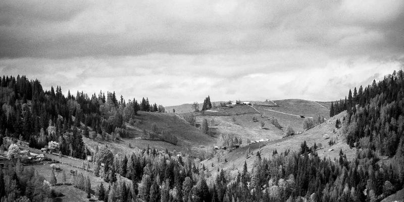 加拿大入籍申请全攻略：从留学签证到公民身份的居住时间、语言与考试详解