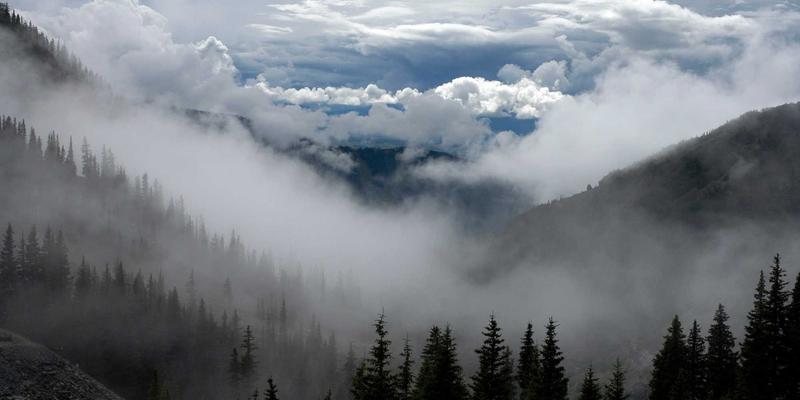 加拿大夫妻/同居伴侣团聚移民：境内与境外申请流程及材料清单详解