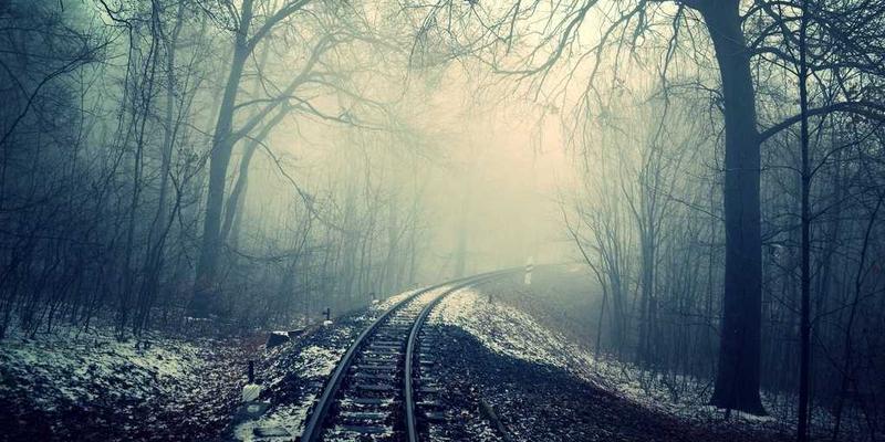 加拿大生活与签证申请全攻略：从规划到安居的最佳实践