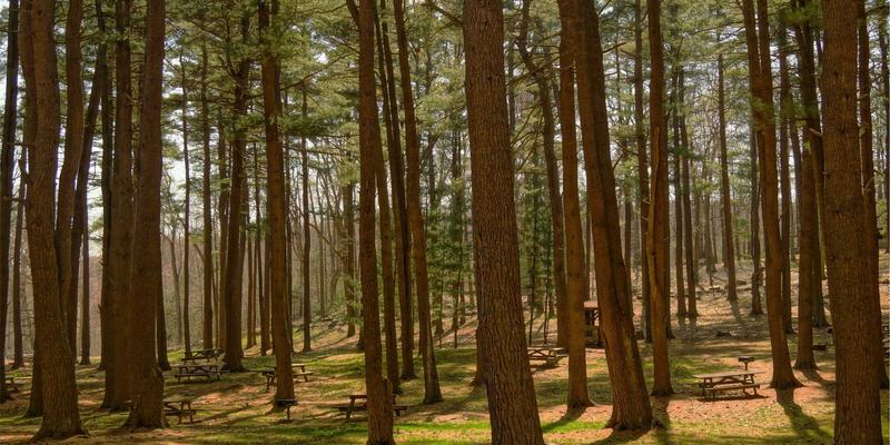 加拿大经验类移民CEC：留学生毕业后快速获得PR的关键条件解析