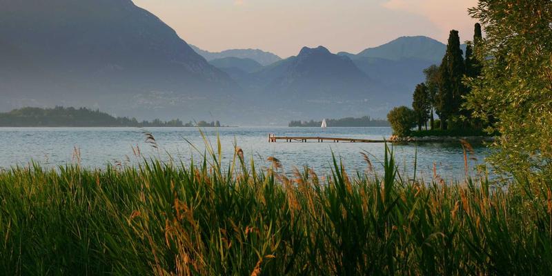 加拿大购房新规深度解析：留学生与移民申请人如何应对禁令、税费与豁免条件