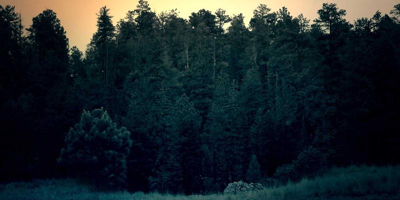 加拿大超级签证与普通探亲签证深度对比：如何为父母选择最佳方案？